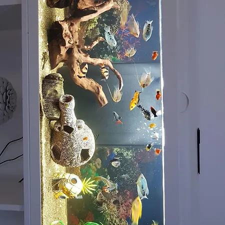 Casale Marcalia - 3* Corigliano Calabro